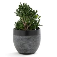 Cache-pot en terre cuite XL Calvi Noir/Blanc LA REDOUTE INTERIEURS