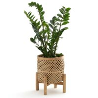 Cache-pot sur pied en bambou H35 cm Bambu Naturel LA REDOUTE INTERIEURS