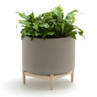 Cache-pot sur pied en hévéa H45cm