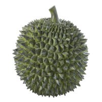 Statue durian verte H30 Maisons du Monde