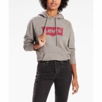 Sweat à capuche poche Gris Levi's