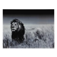 Tableau lion en Plexiglas® 161x123 Maisons du Monde