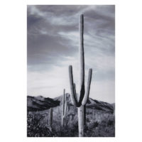 Tableau photo en Plexiglas® 80x120 ARIZONA Maisons du Monde