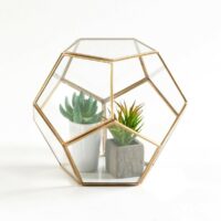 Terrarium en verre et métal