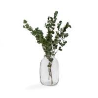 Vase en verre H27 cm Tamagni Transparent LA REDOUTE INTERIEURS