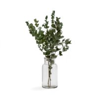 Vase en verre transparent H26