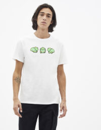 POKEMON - t-shirt en coton Bulbizarre CELIO