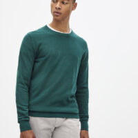 Pull col rond 100% coton CELIO