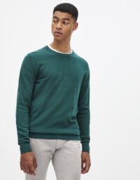 Pull col rond 100% coton CELIO