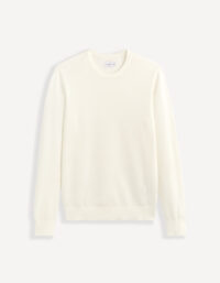 Pull col rond 100% coton CELIO