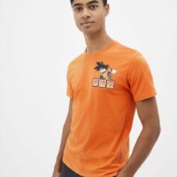 T-shirt Dragon Ball Z CELIO