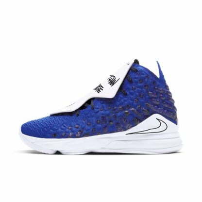 Chaussure de basketball LeBron 17 MTAA - Bleu Nike
