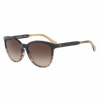 Lunettes de soleil EA4101 Marron Emporio Armani Emporio Armani