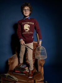 Sweat collection Harry Potter Garçon bourgogne HARRY POTTER