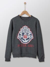Sweat collection Harry Potter gris HARRY POTTER