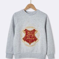 Sweat collection Harry Potter gris chiné HARRY POTTER