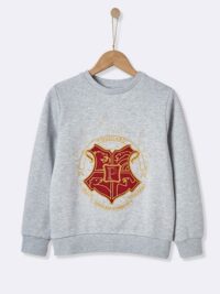 Sweat collection Harry Potter gris chiné HARRY POTTER