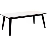 Table Basse Scandinave Blanche et Noire LONY