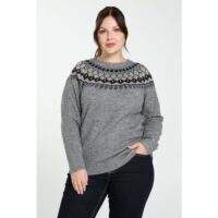 Pull raglan motif jacquard col rond manches longues Gris PAPRIKA