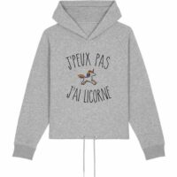 Sweat capuche J'PEUX PAS J'AI LICORNE Gris LE FABULEUX SHAMAN