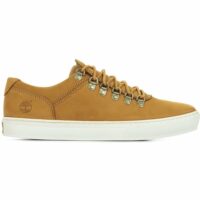 Baskets Adv 2.0 Cupsole Alpine Ox Timberland