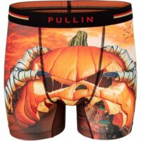 Boxer  FASHION 2 SCARYPUM Pullin