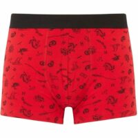 Boxer à motifs Harry Potter NEWKATCHIZ Undiz