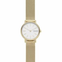 Montre Analogique Acier SIGNATUR Skagen