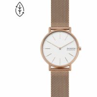 Montre Analogique Acier SIGNATUR Skagen