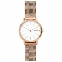 Montre Analogique Acier SIGNATURE Skagen