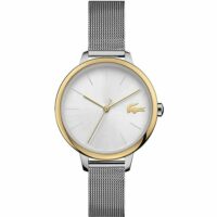 Montre Femme  en Acier Gris Vicomte A