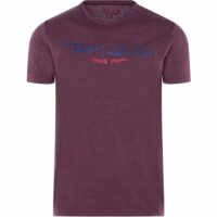 T-Shirt coton col rond Teddy Smith