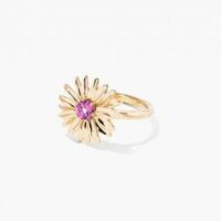 Bague Bouquet Grenat Rhodolite Jaune Aurélie Bidermann