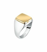 Bague en acier