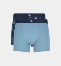 Lot 2 shortys imprimé et uni coton bio Bleu Mariner