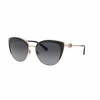 Lunettes de soleil polarisées BV6133 Noir Bvlgari