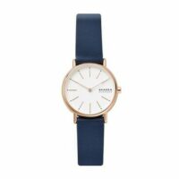 Montre Femme Skagen Signatur Bleu Skagen