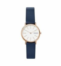 Montre Femme Skagen Signatur Bleu Skagen