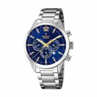 Montre Homme Festina Timeless Gris Festina