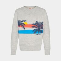 Sweat droit Tom Palm en coton Gris AO76