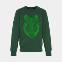 T-shirt manches longues coton Vert AO76