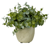 TERRA Pot avec plante blanc