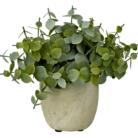 TERRA Pot avec plante blanc