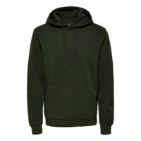 Sweat À Capuche Ceres Life-ONLY & SONS