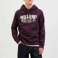 Sweat À Capuche Logo-JACK & JONES