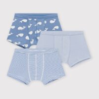 Lot De 3 Boxers En Coton-PETIT BATEAU