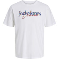 T-shirt Manches Courtes-JACK & JONES JUNIOR