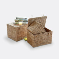 Coffres De Rangement Jacinthe De Mer