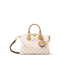Sac Speedy Soft 25 LV Crafty - Louis Vuitton - Louis Vuitton