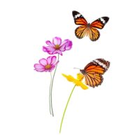 Autocollant mural fleurs et papillons 61x87cm--Orange-STC